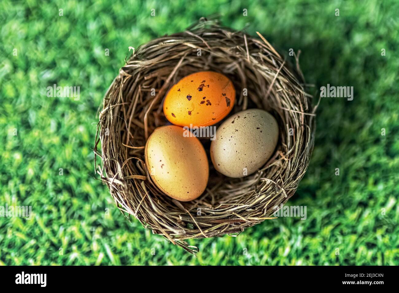 Easter eggs in a natural nest on a green background with grass texture ...