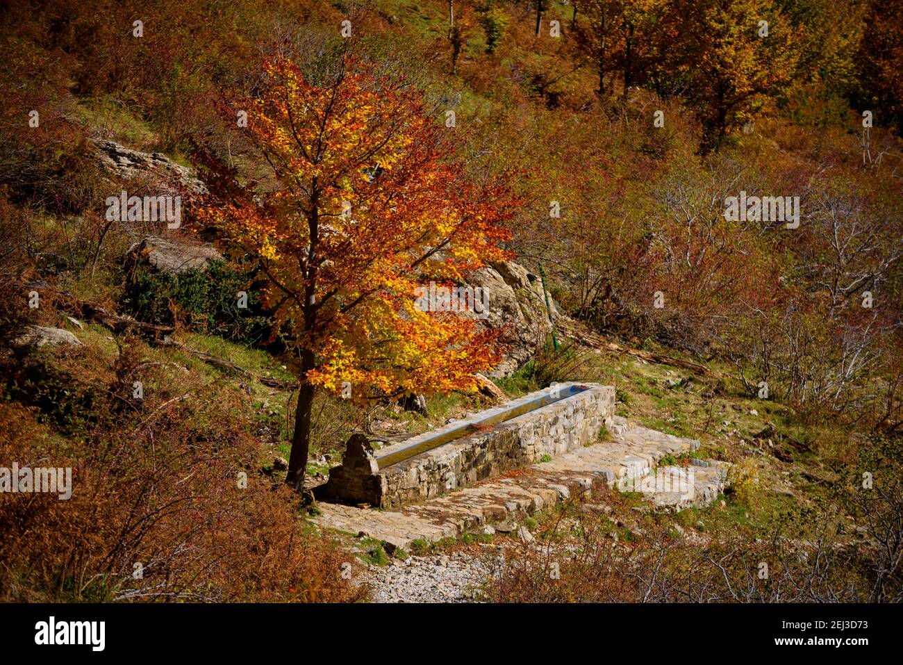 Autumn in Pineta Valley (Ordesa and Monte Perdido National Park, Pyrenees, Spain) ESP: Otoño en el valle de Pineta (PN Ordesa Monte Perdido, Aragón) Stock Photo