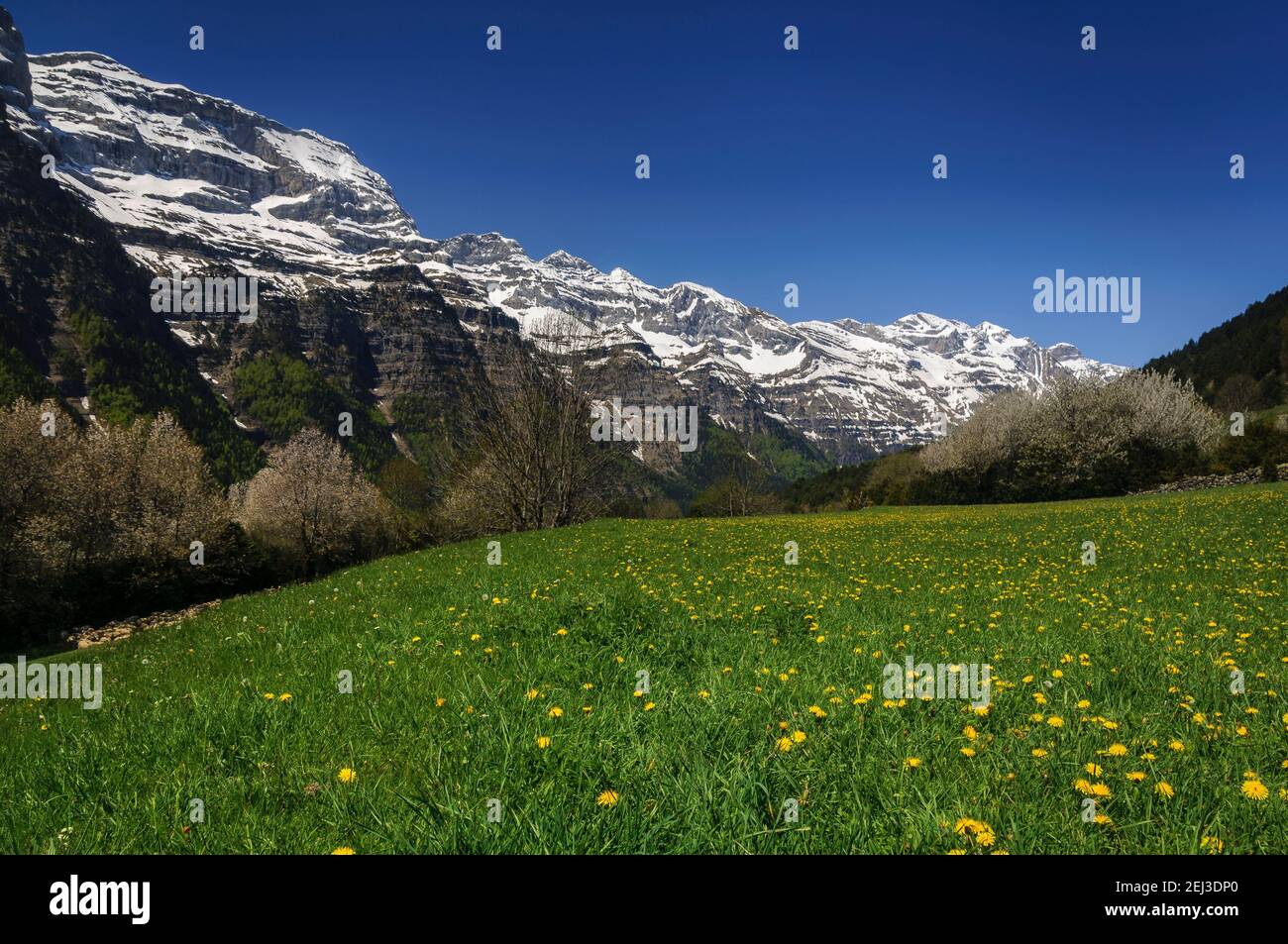 Pineta Valley in spring (Ordesa and Monte Perdido National Park, Aragon ...
