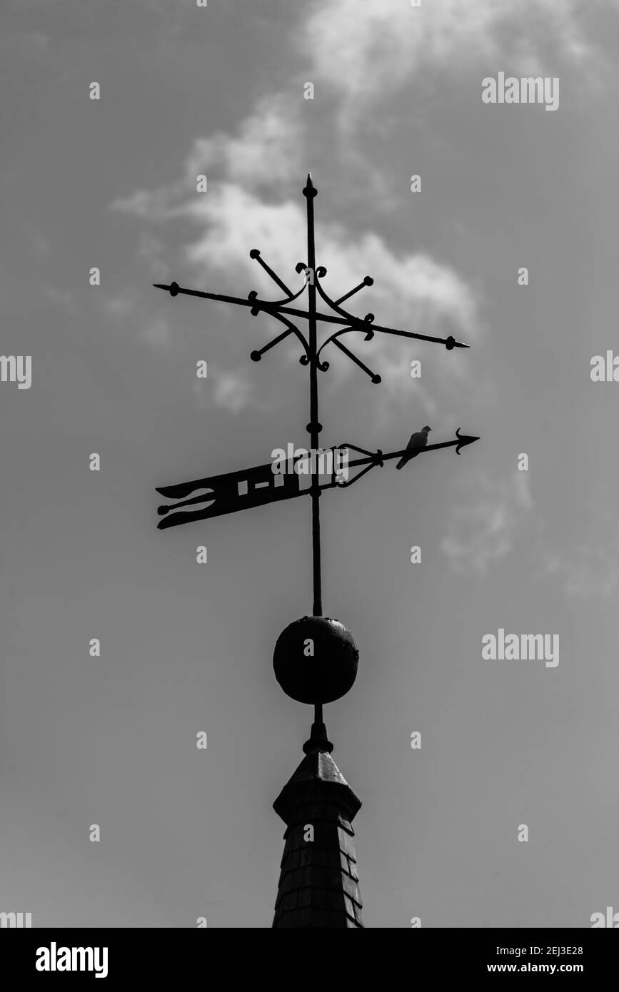 church weather vane with perched bird Stock Photo