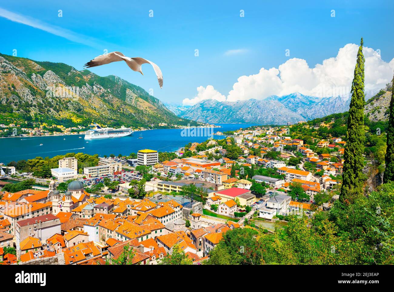 View of the seagull and the bay of Kotor in Montenegro Stock Photo