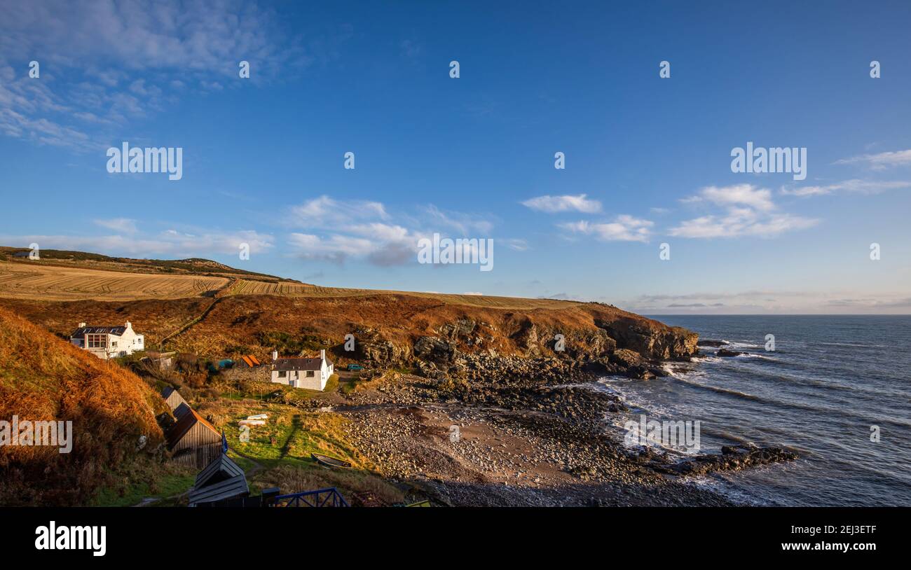 Homes and houses on the rugged coastline and shore at Newtonhill