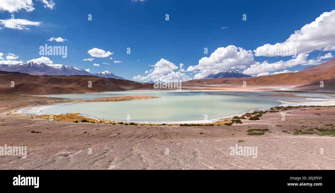 Green water under sun light. Panorama of Lagoon of Honda in Bolivian Altiplano. South America Stock Photo
