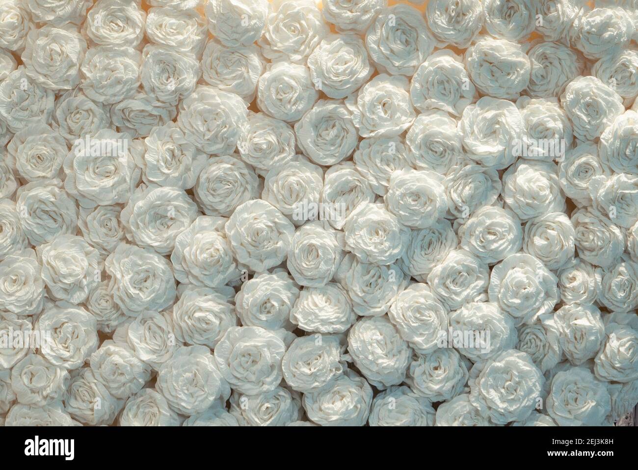 Beautiful white handcraft paper rose background Stock Photo
