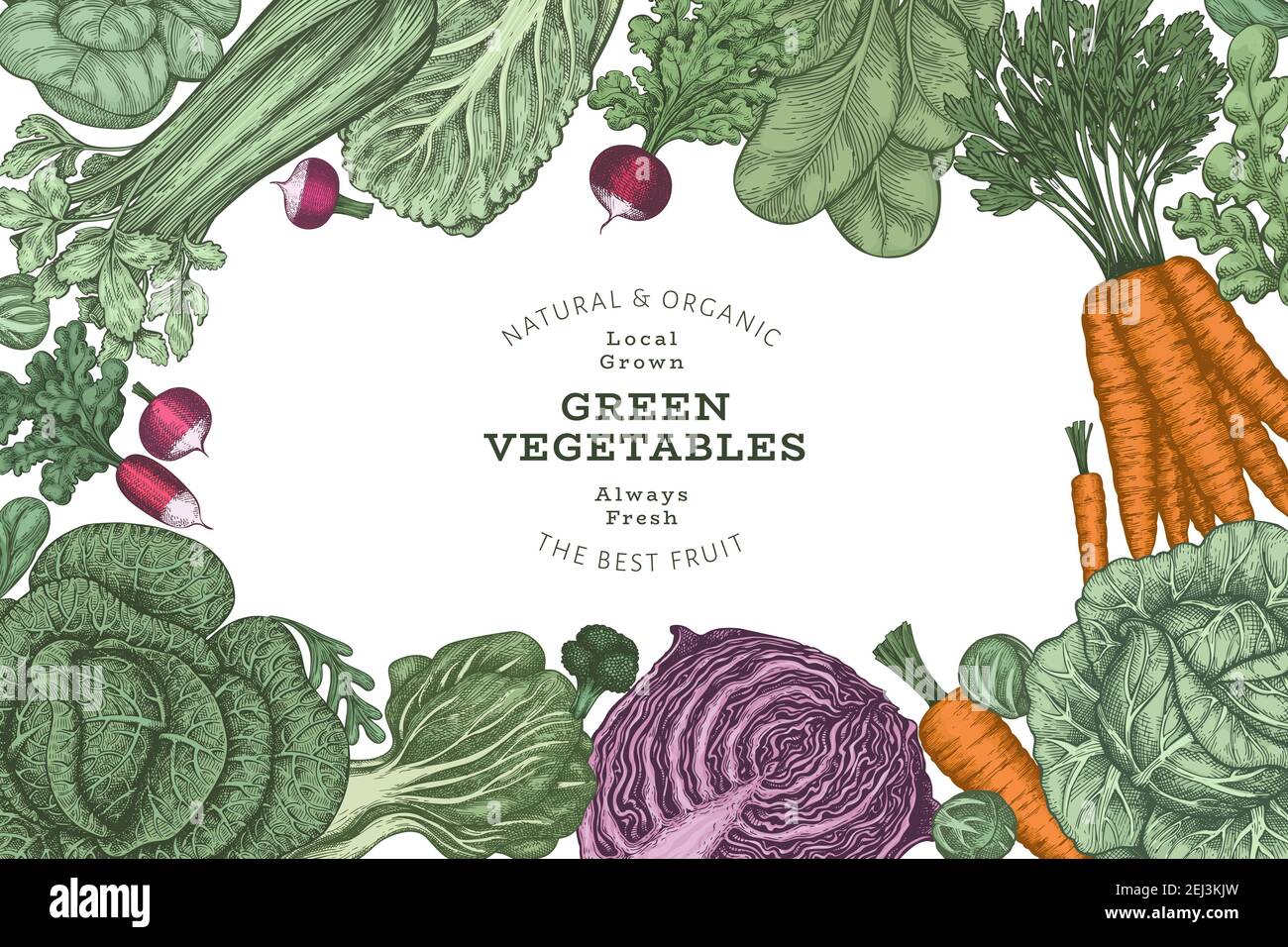 Hand drawn vintage color vegetables design. Organic fresh food vector ...