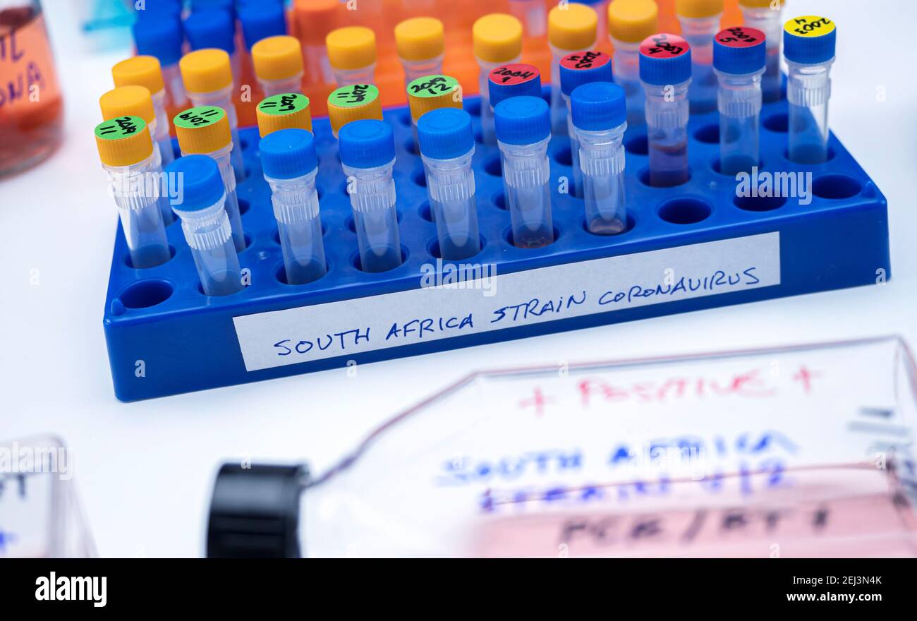 Several vials positive for covid-19 infection of the new variant in the south africa, conceptual image. Stock Photo