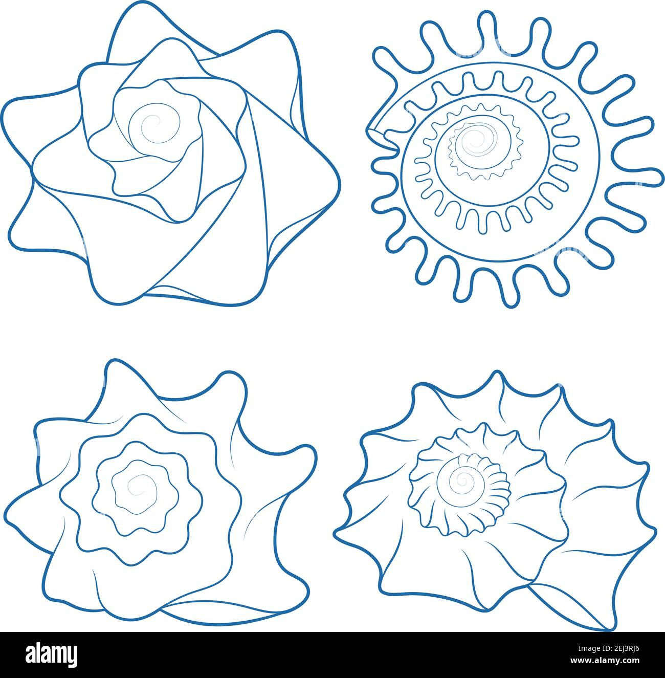 Vector set of seashells. Isolated objects on white. Stock Vector