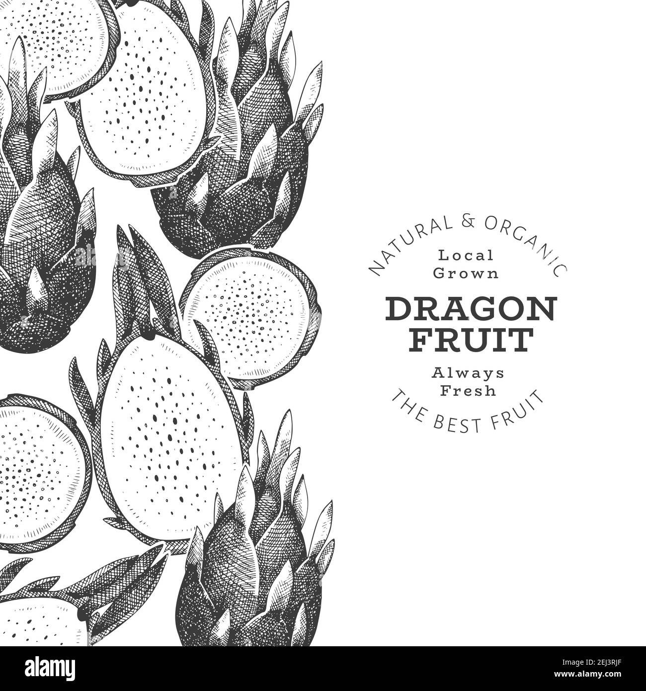 Hand drawn dragon fruit design template. Organic fresh food vector