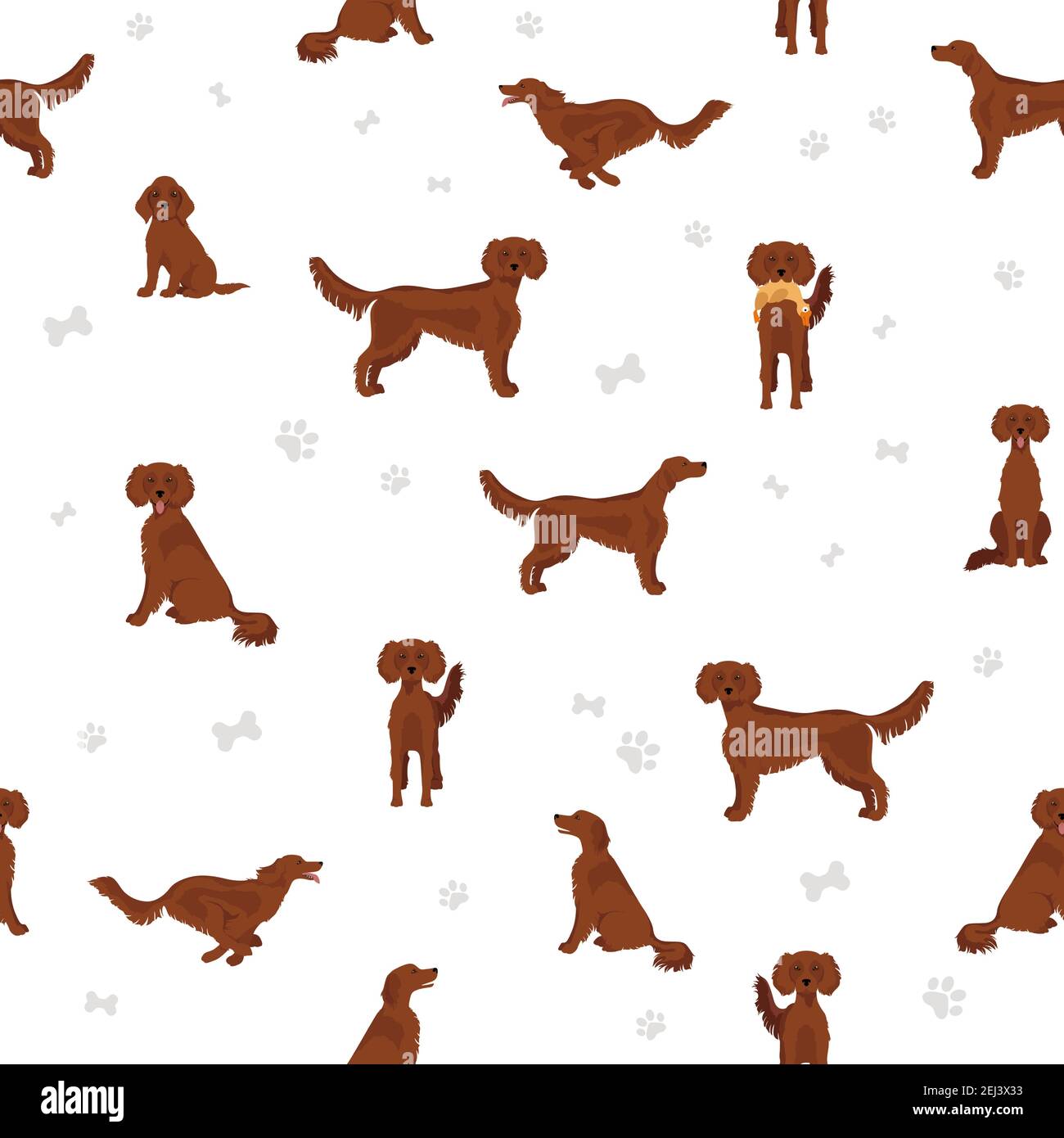Irish setter seamless pattern. Different poses, coat colors set. Vector