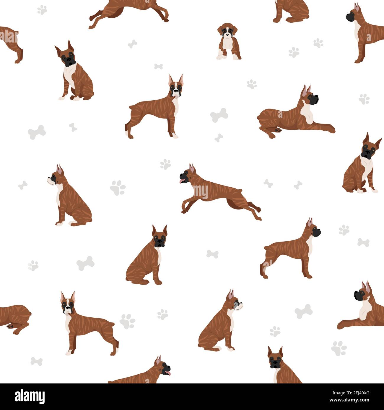 Boxer Dog Wallpaper HD  PixelsTalkNet