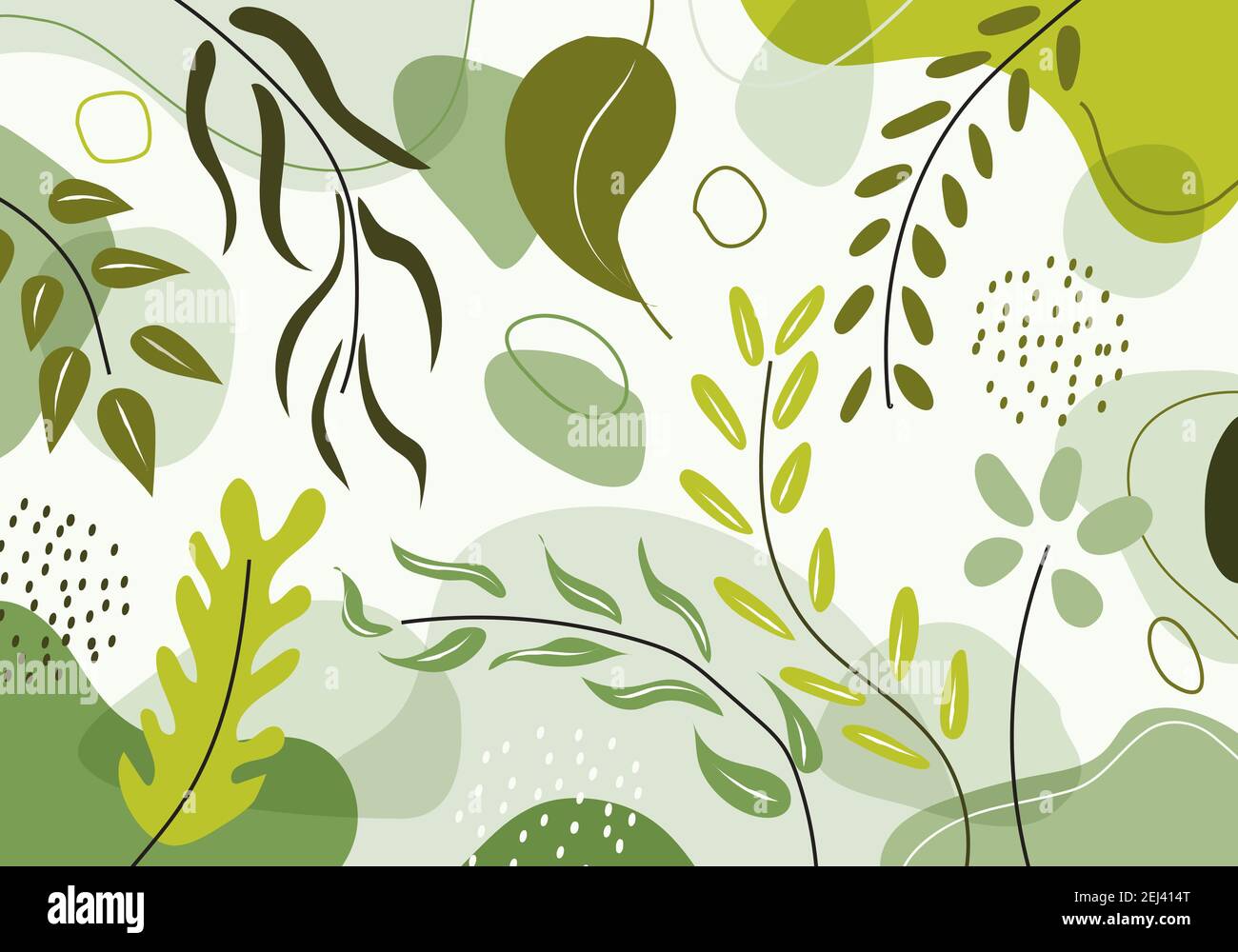 Hand drawn organic shapes green natural leaves, floral, line art