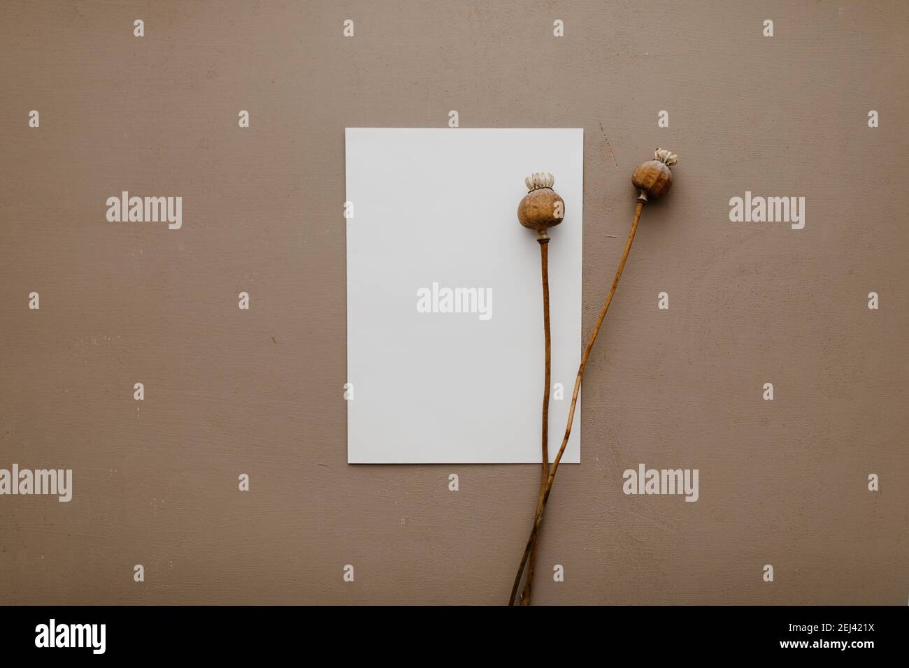 New Year resolution, wish list concept. Blank letter mock up on handcrafted paper. Letter paper, poppy seed head. Pastel, beige colors, cozy hygge. Stock Photo