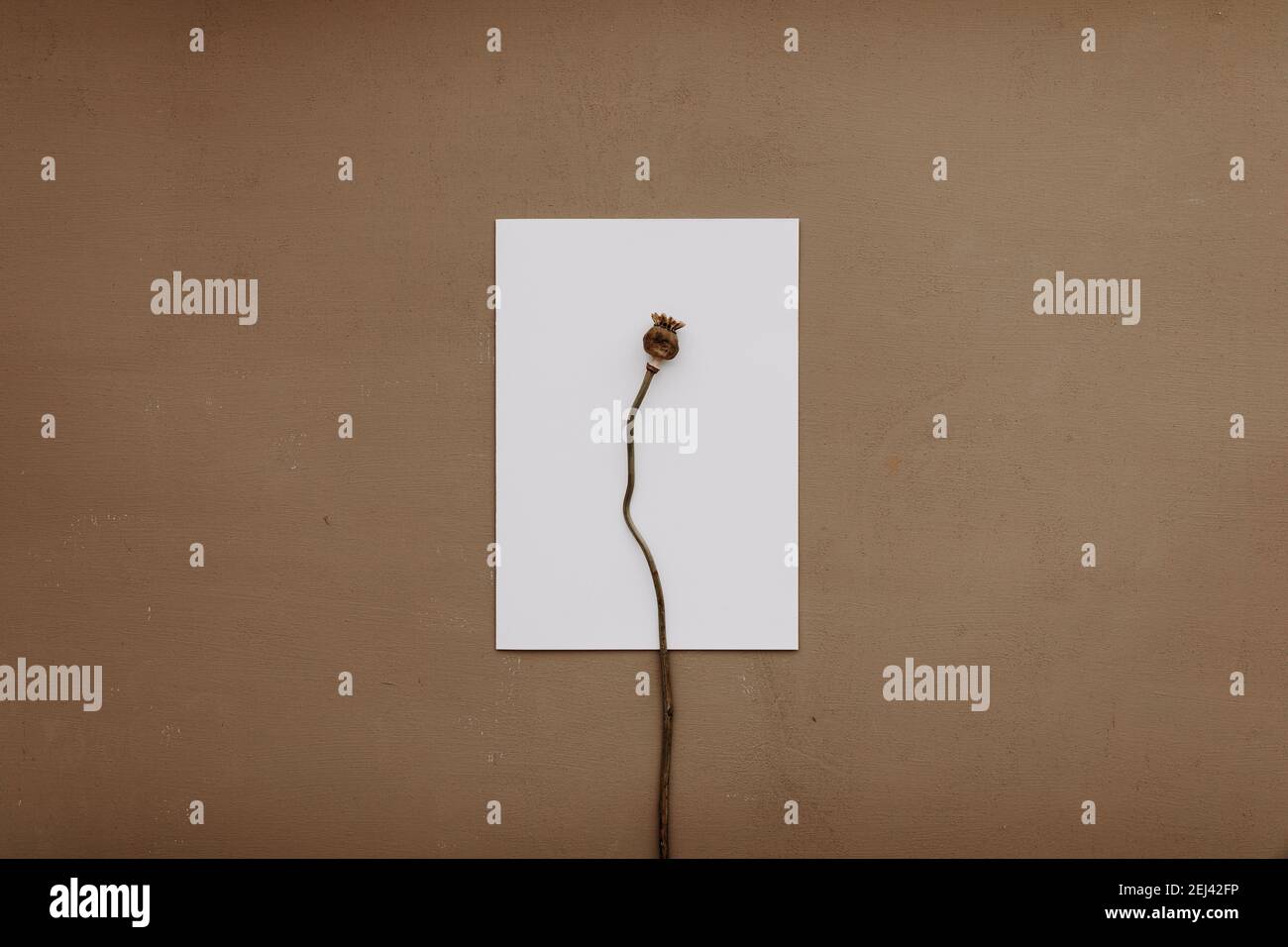 Rsvp not attending hi-res stock photography and images - Page 3 - Alamy