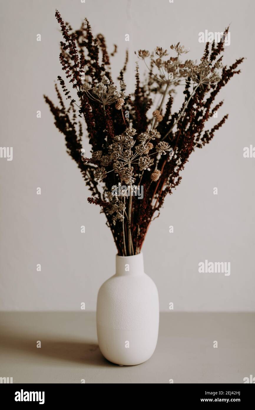 Brown wild dried flower in ceramic vase closeup on grey background Stock Photo