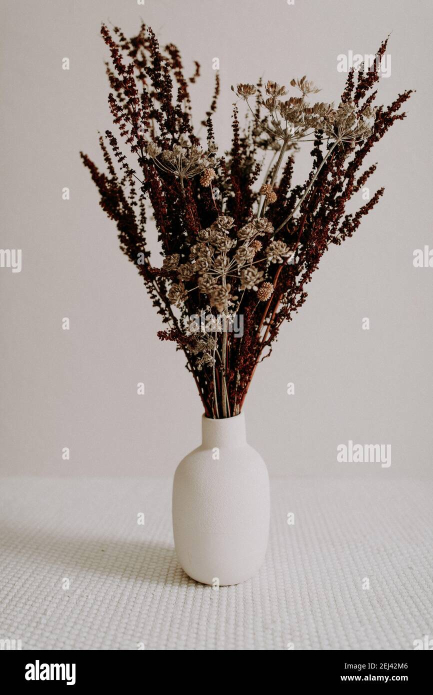 Brown wild dried flower in ceramic vase closeup on grey background Stock Photo