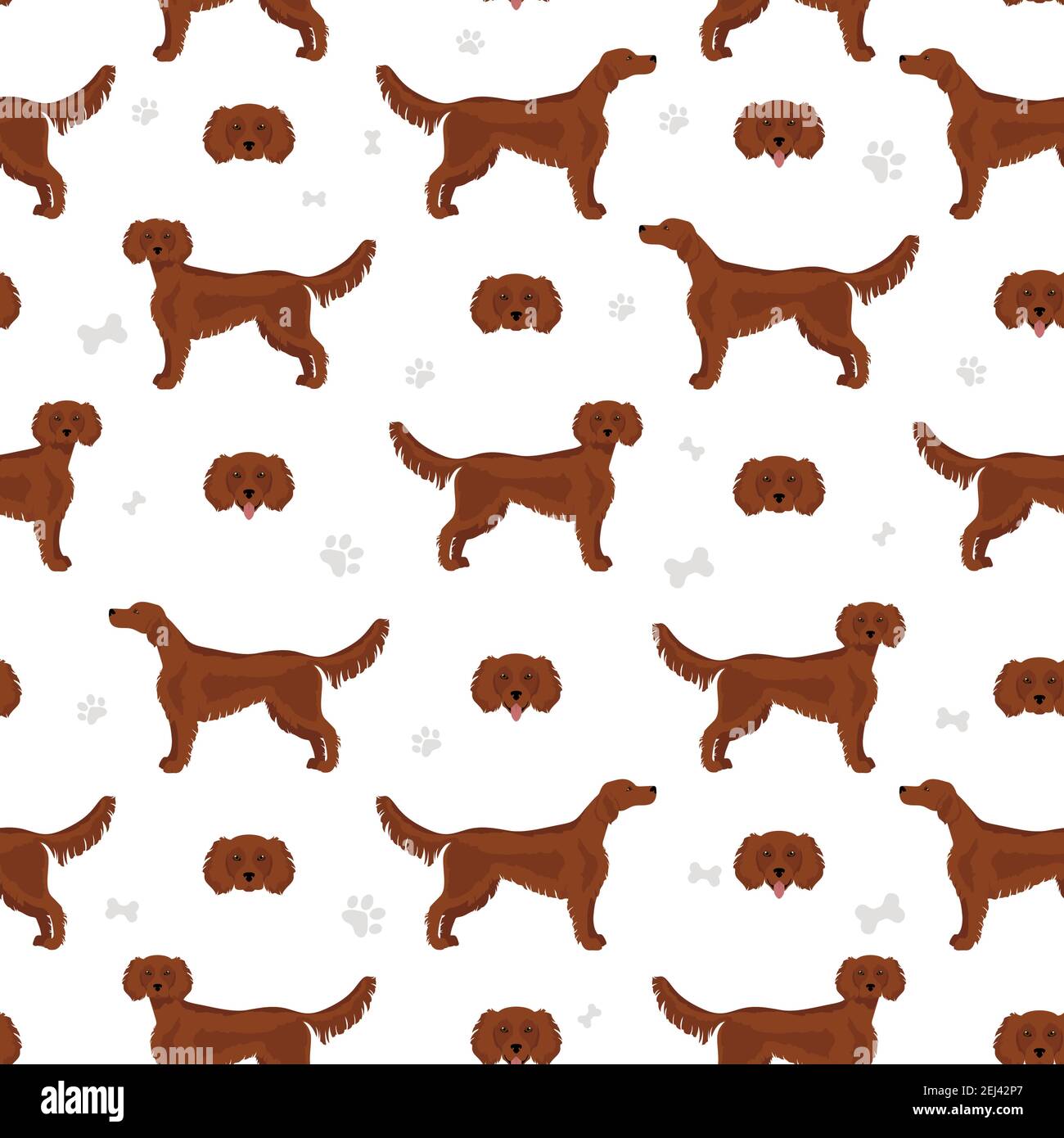 Irish setter seamless pattern. Different poses, coat colors set. Vector