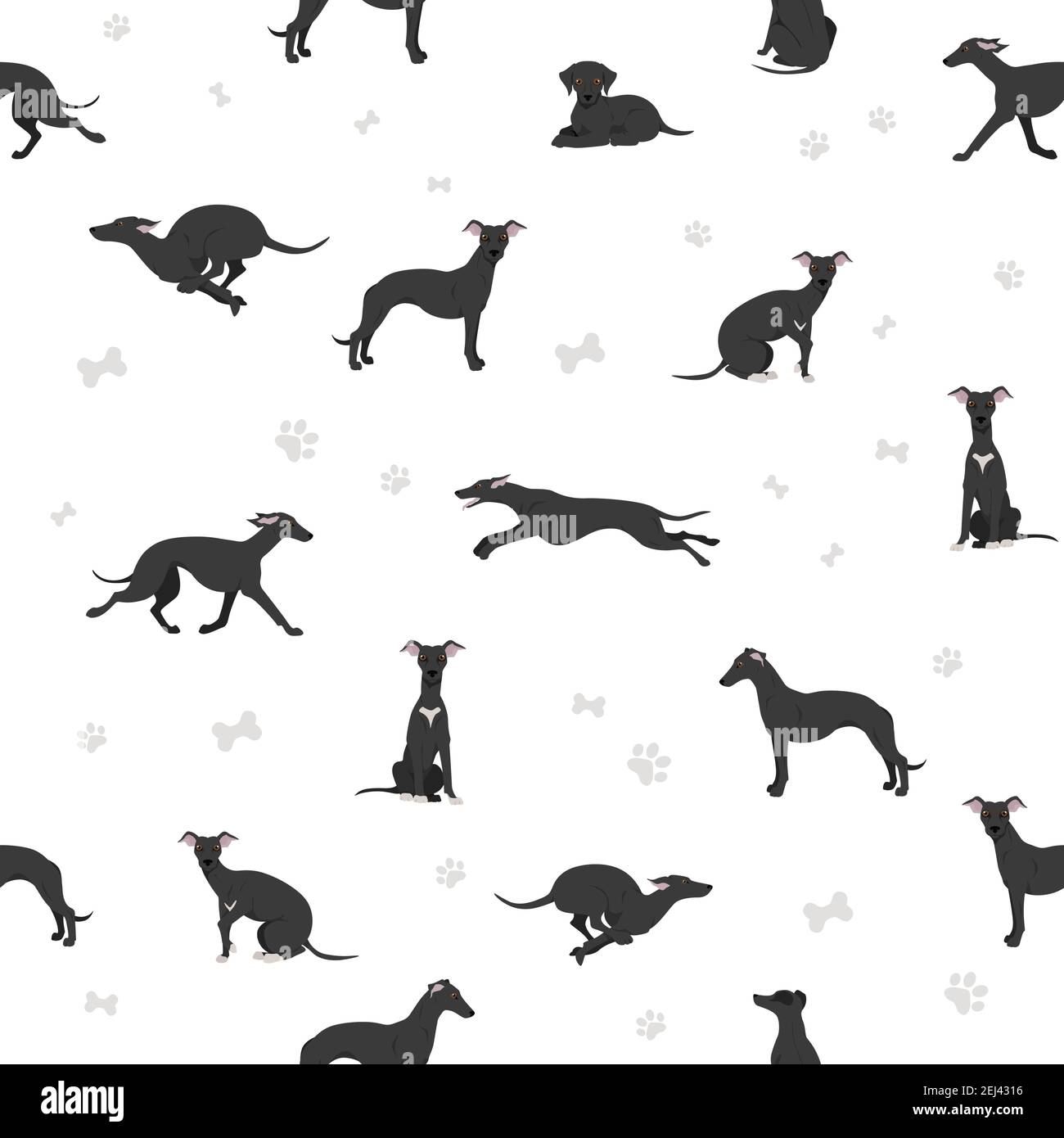 Whippet Pattern Grey fawn Stock Vector Images - Alamy