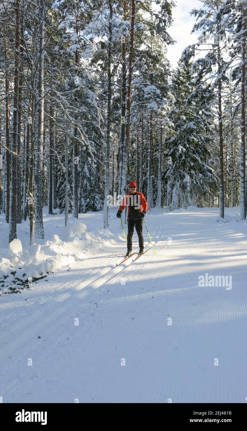 MAN ON SKIES cross country in winter landscapes exercise tracks Stock Photo