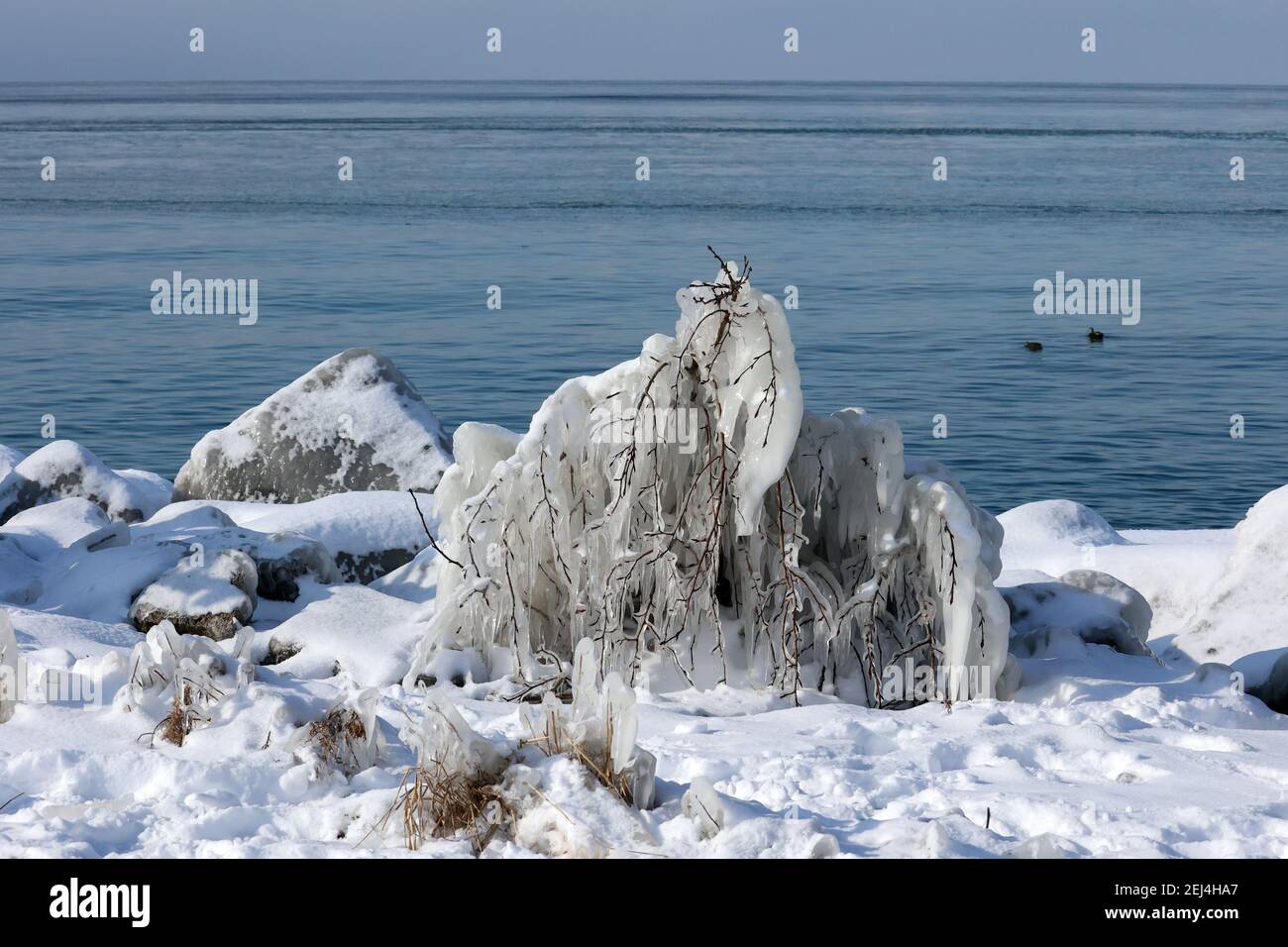 Icy landscapes in winter at harbour Stock Photo