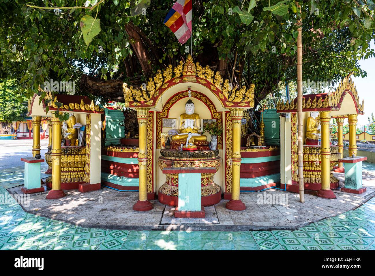 Buddha statues around a huge tree, Su taung pyi pagoda, Myitkyina, Kachin state, Myanmar Stock Photo