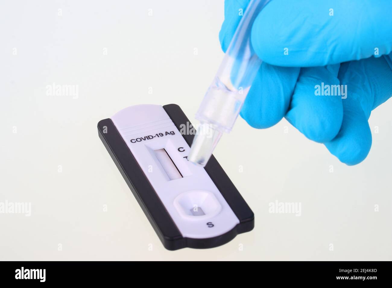Covid 19 PCR Rapid Test, Corona, test solution is dropped onto sample field Stock Photo