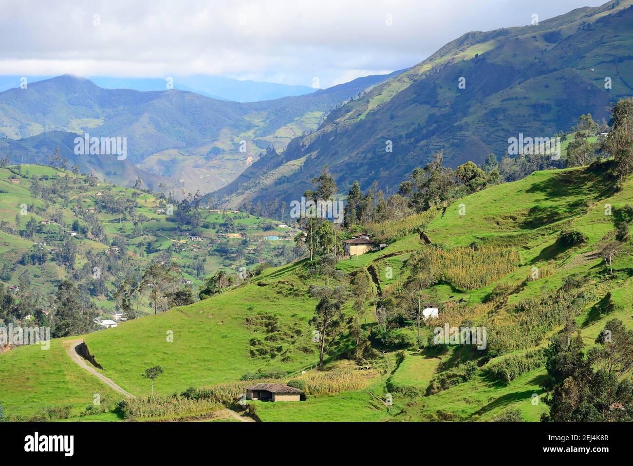 Cabins in green hilly landscape near Vilcabamba, Loja province, Ecuador Stock Photo