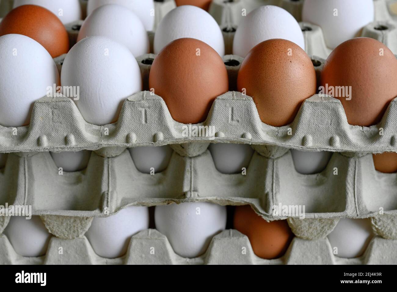 Many white and brown eggs in egg carton Stock Photo
