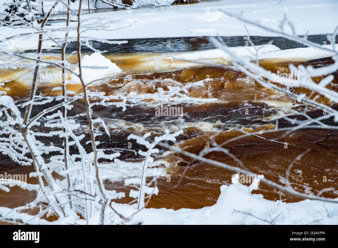 The wild frozen small river in the winter wood, the wild nature at ...