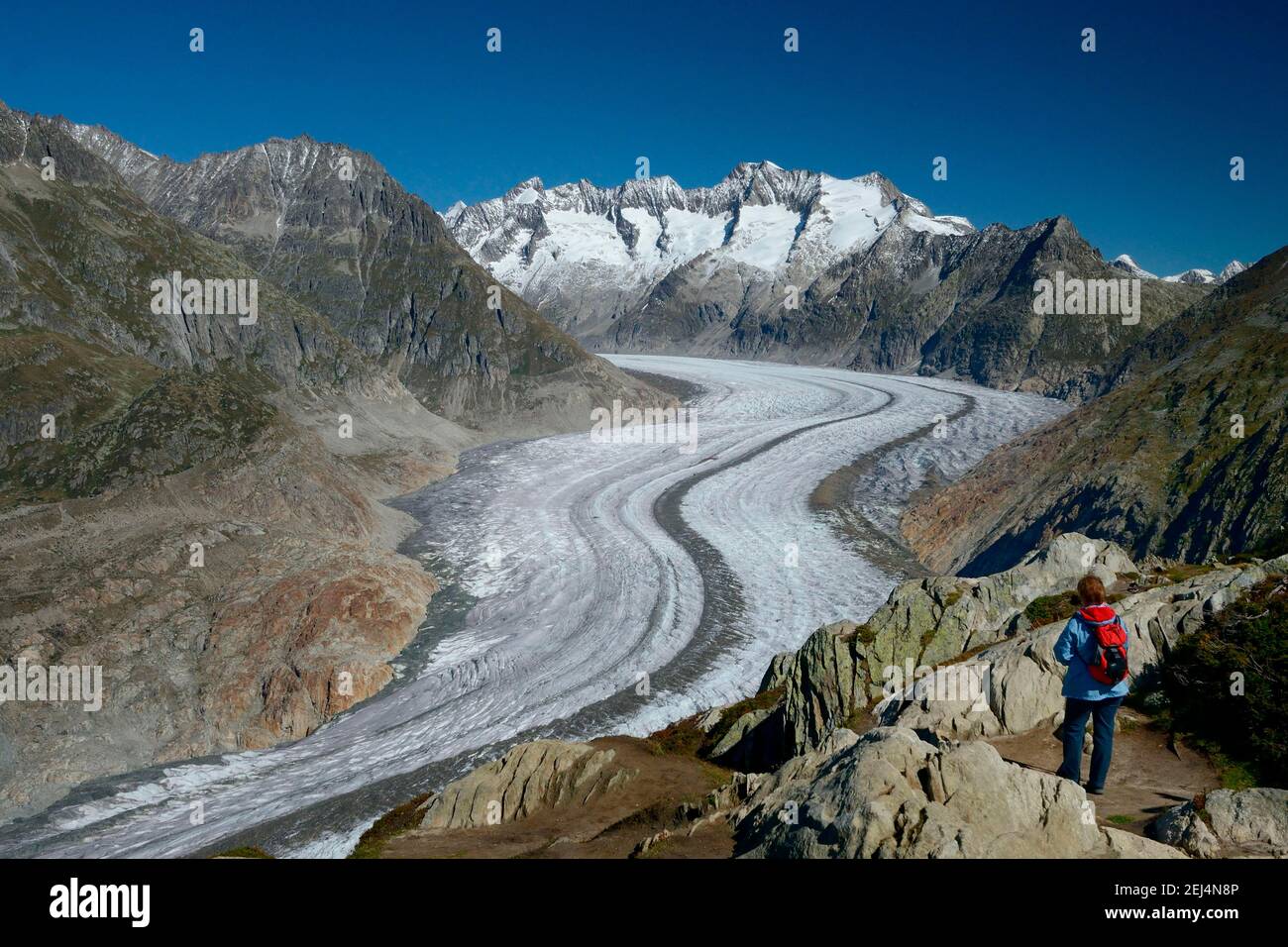 Moosfluh Viewpoint View Of The Aletsch Glacier Great Aletsch Glacier Valais Switzerland Stock Photo Alamy