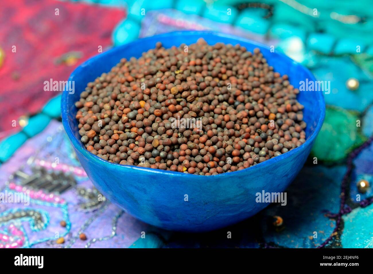 Mustard green (Brassica juncea) mustard seed Stock Photo Alamy