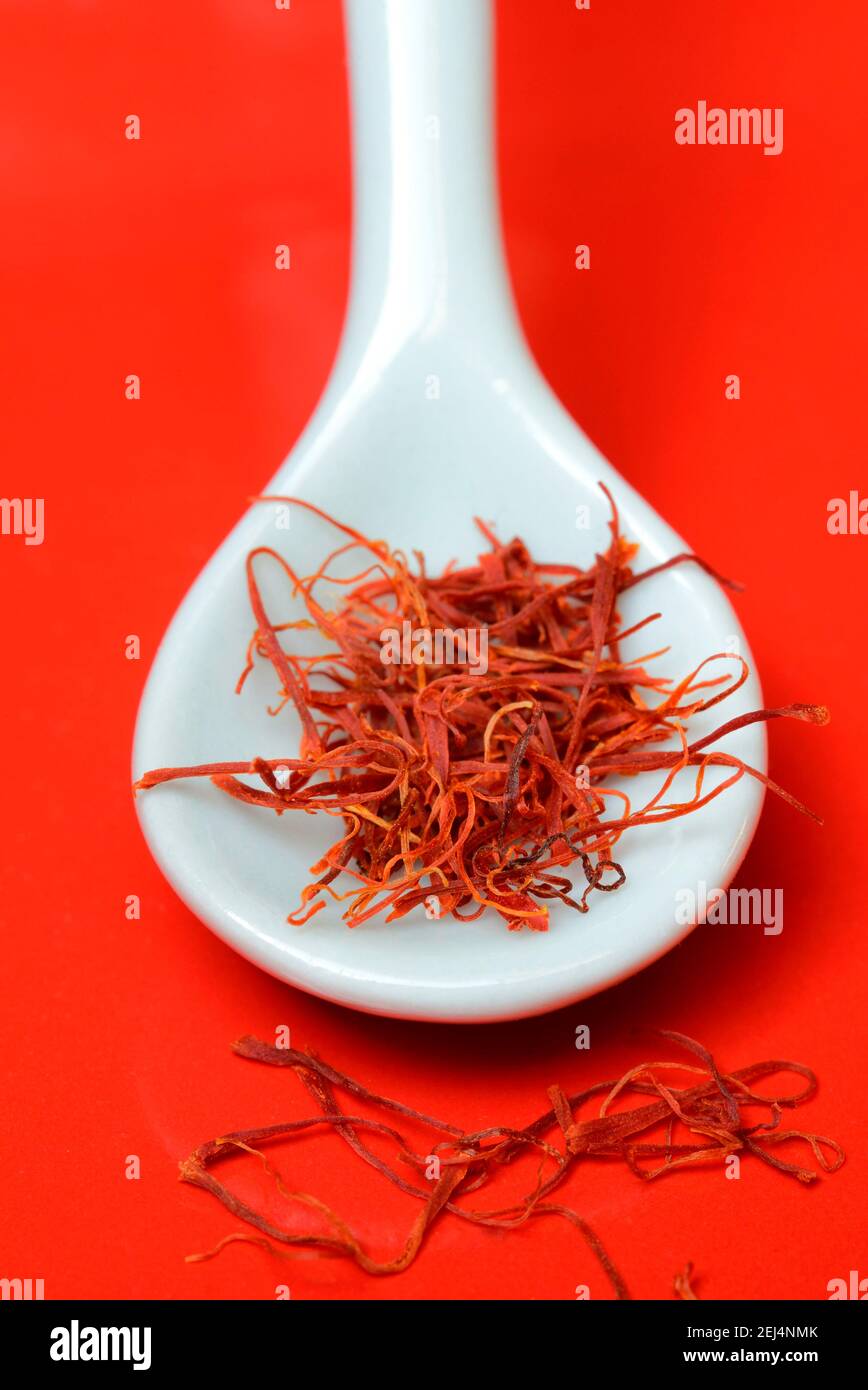 Saffron crocus (Crocus sativus) threads in porcelain spoon Stock Photo