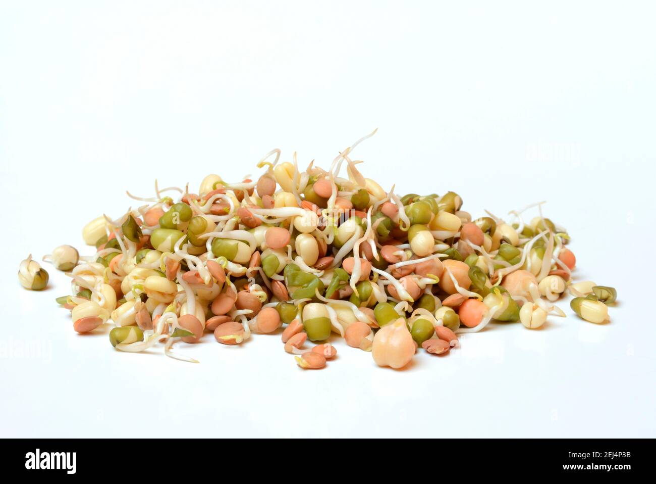 Mixed sprouts of lentils, mung beans and chickpeas, lentil sprouts, mung bean sprouts, chickpea sprouts Stock Photo