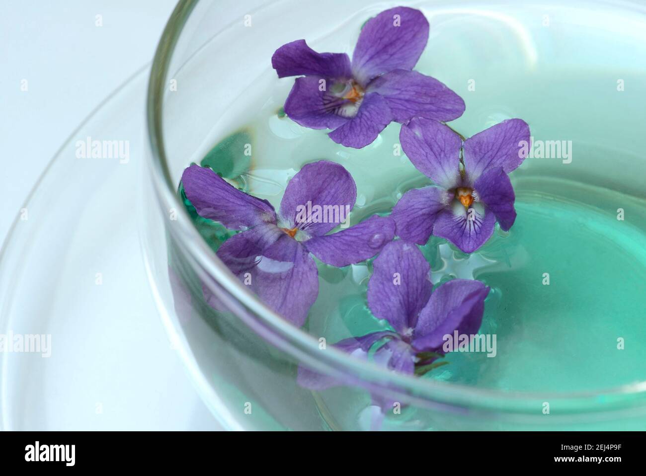 Violet tea ( Viola odorata) violet flower tea, cup Stock Photo