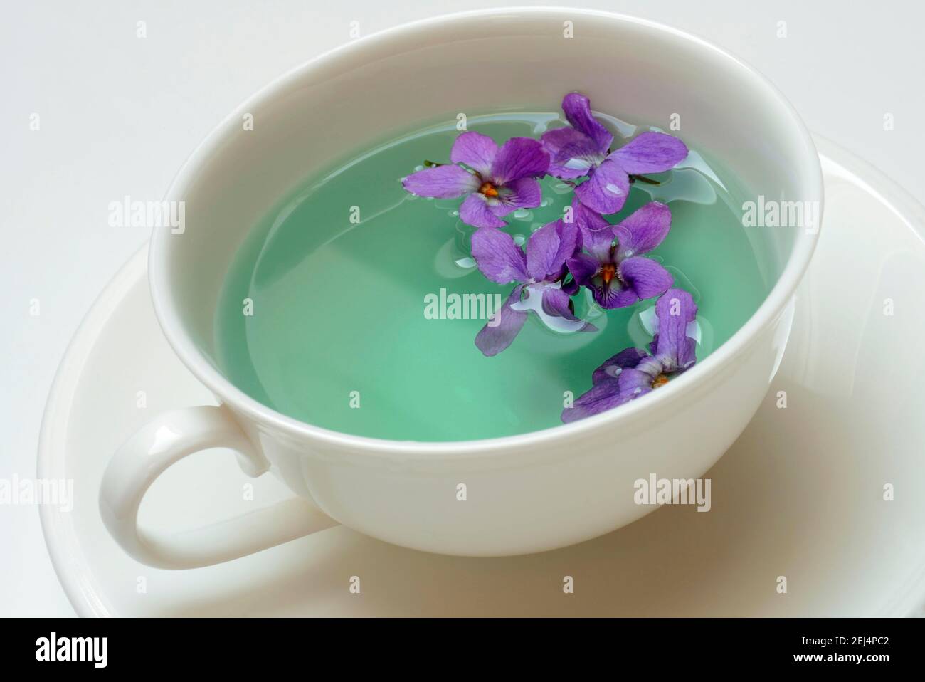 Violet tea ( Viola odorata) violet flower tea, cup Stock Photo