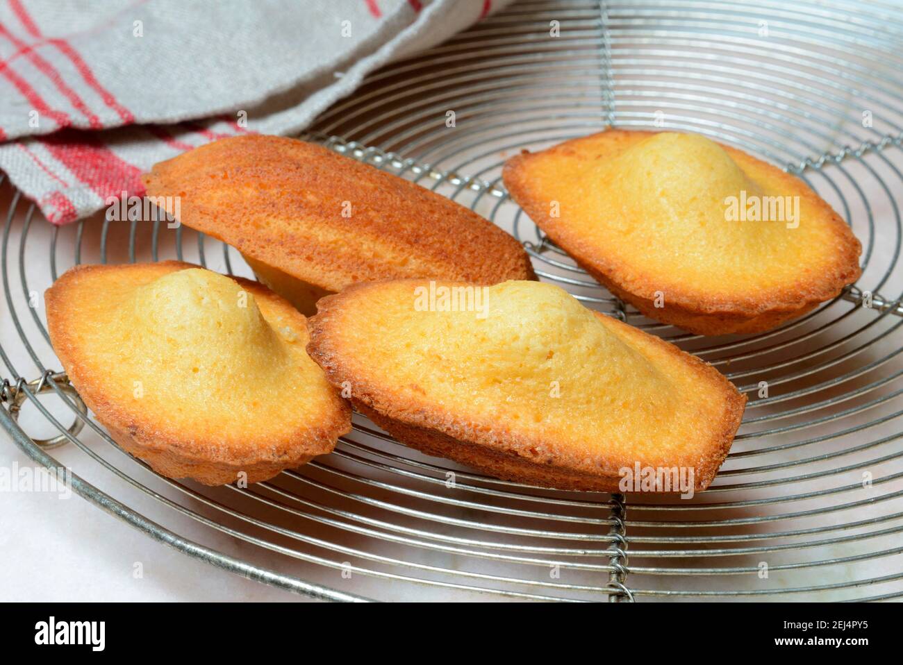 Madeleines on cake grid Stock Photo Alamy