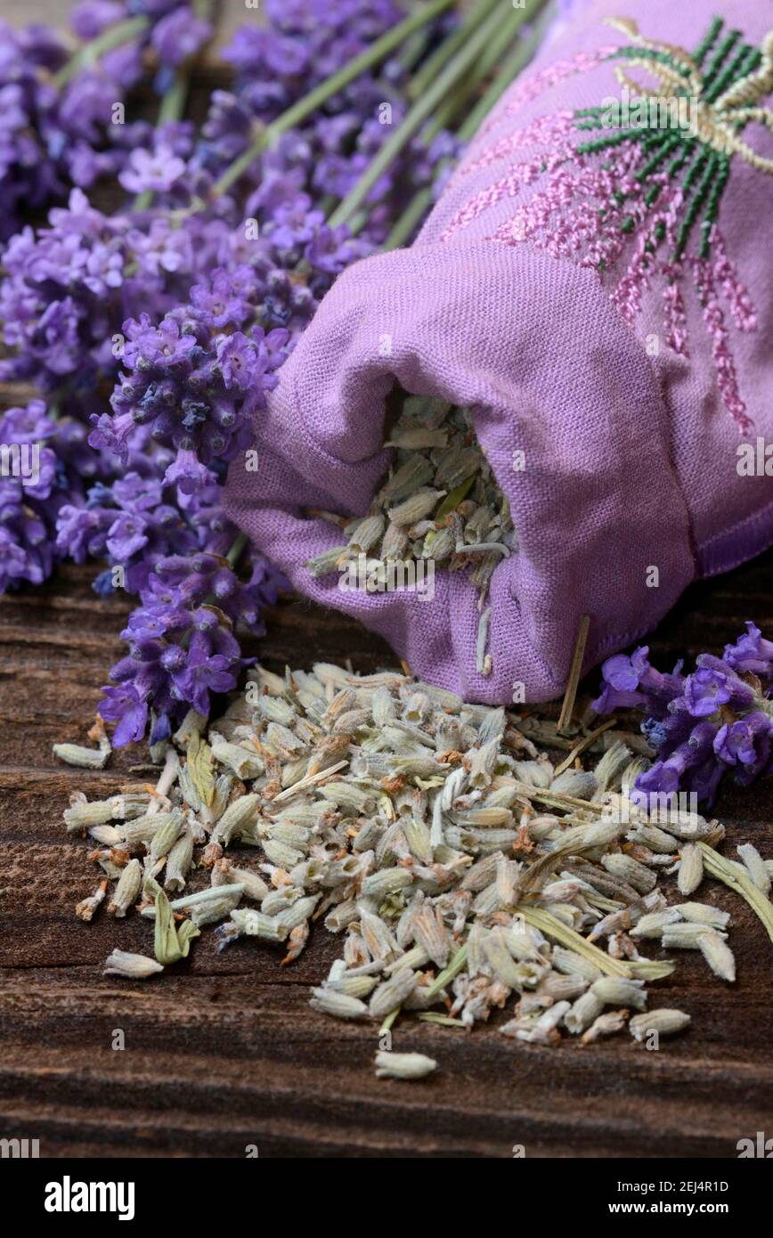 10 Bags of Dried Lavender in Small Lilac Organza Bags -Real Flower/Home  Fragrance/Crafts /Moth Repellent | Lavender Products