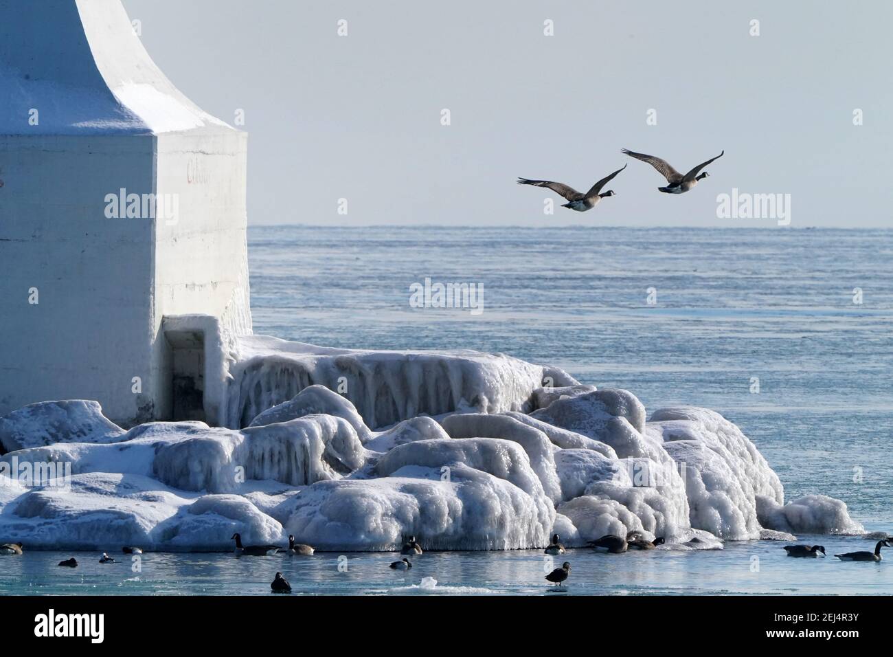 Icy landscapes in winter at harbour Stock Photo