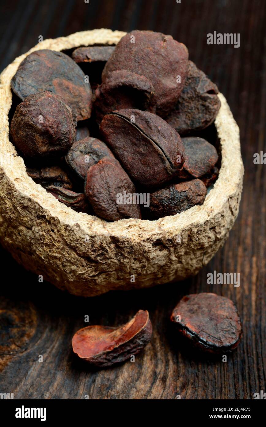 Kola nuts ( Cola nitida Stock Photo Alamy