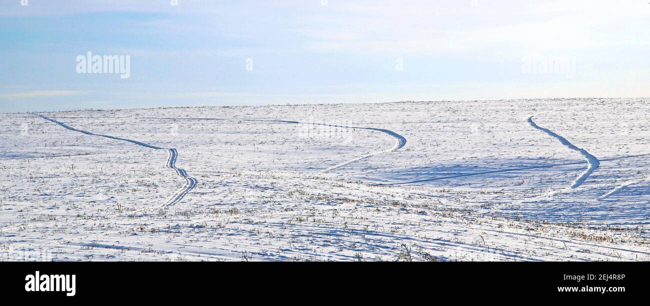 Incredible landscape of a snowy field rugged by traces of wheels. Stock Photo