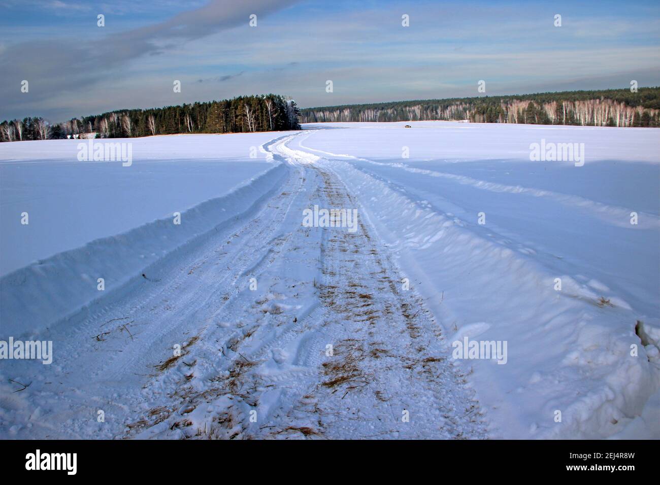 Beautiful scenery.  The winter road cuts deep into the snow and runs, curving and losing itself in the forest. Stock Photo