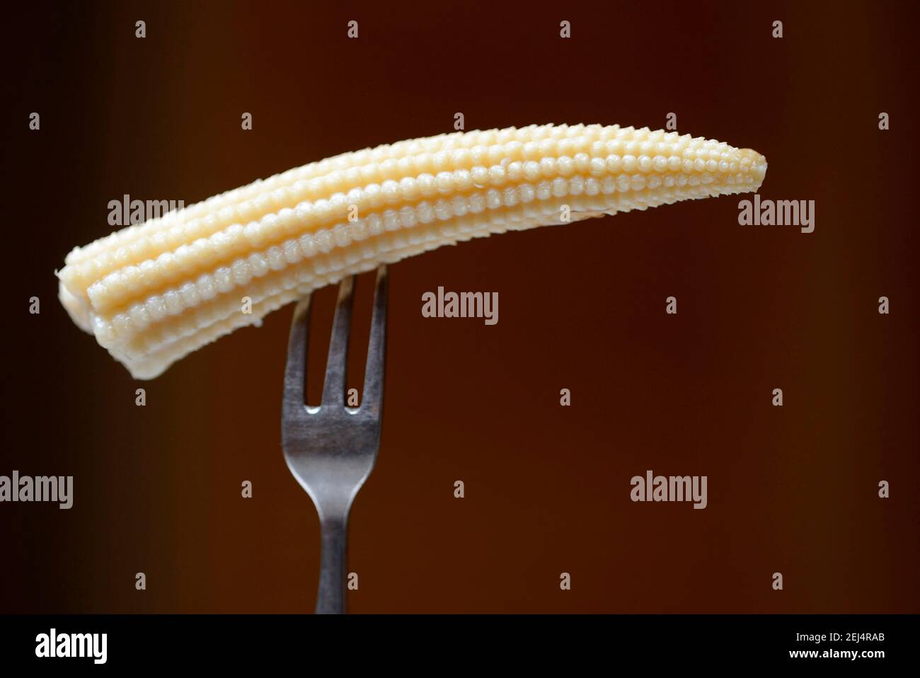 Corn on the cob in vinegar infusion, corn on the cob Stock Photo Alamy