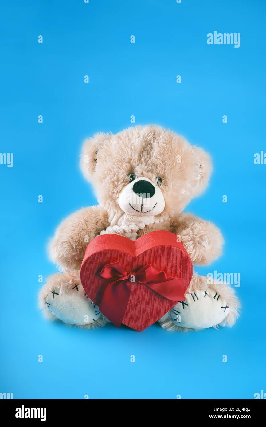 NEW Cute Cuddly Soft I LOVE CHAMPAGNE Gift Present Teddy Bear 