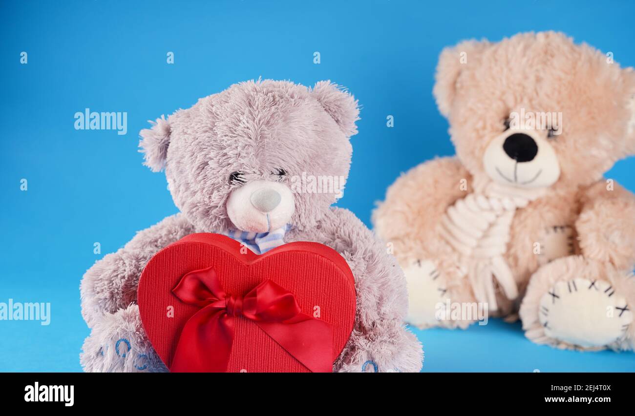 Close Up Of Cute Teddy Bears With Red Gift Box In Form Of Heart Soft Plush Toys With Present On Blue Background Concept Of Holidays Presents And Go Stock Photo Alamy