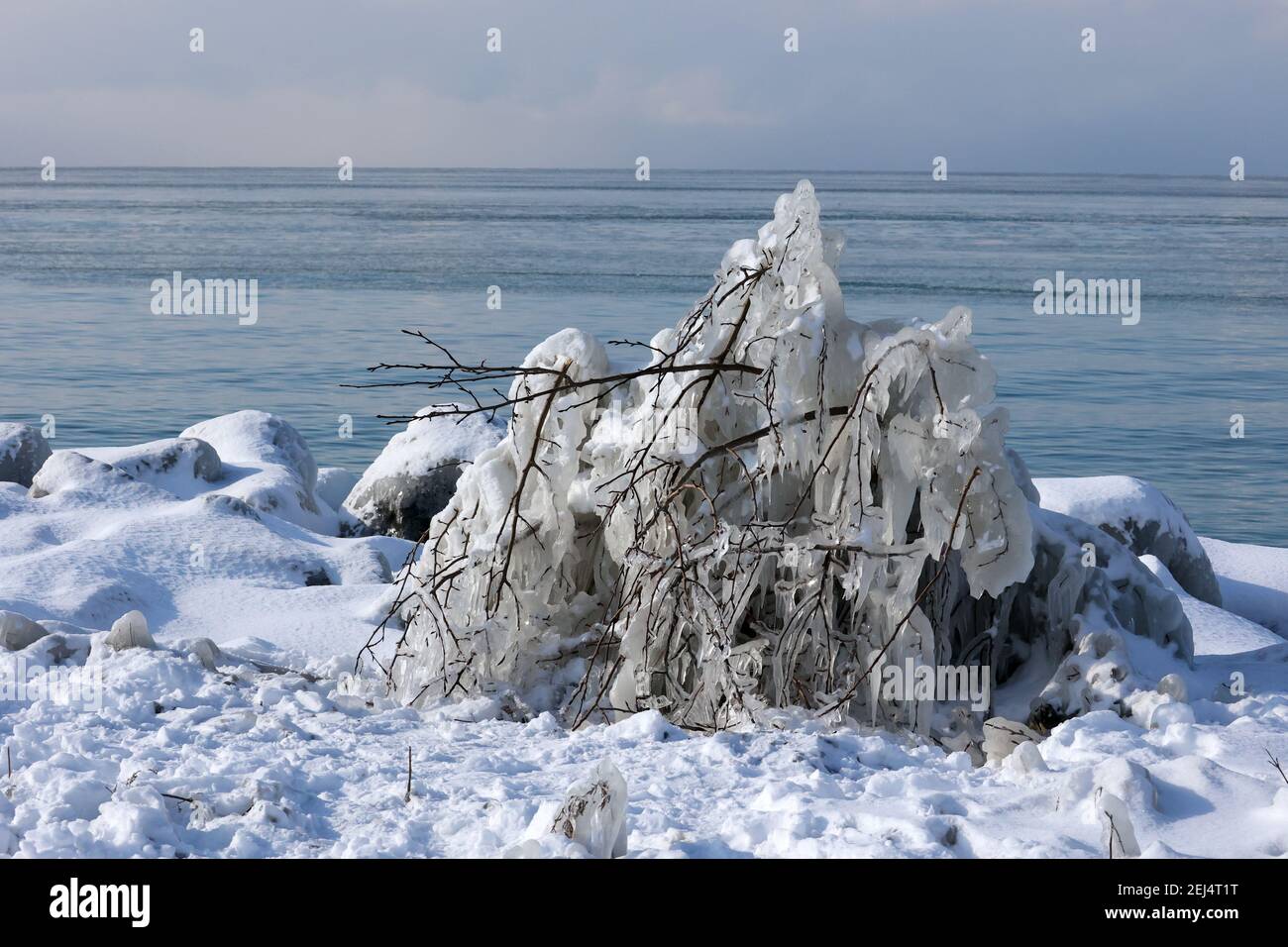 Icy landscapes in winter at harbour Stock Photo