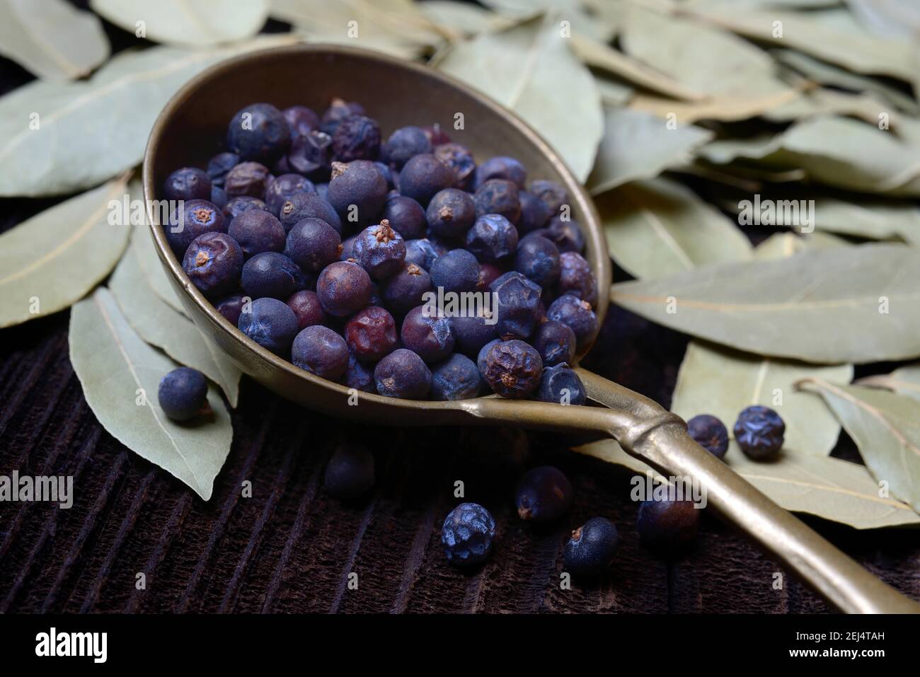 Dried juniper berries ( Juniperus communis) in brass ladle, dried bay