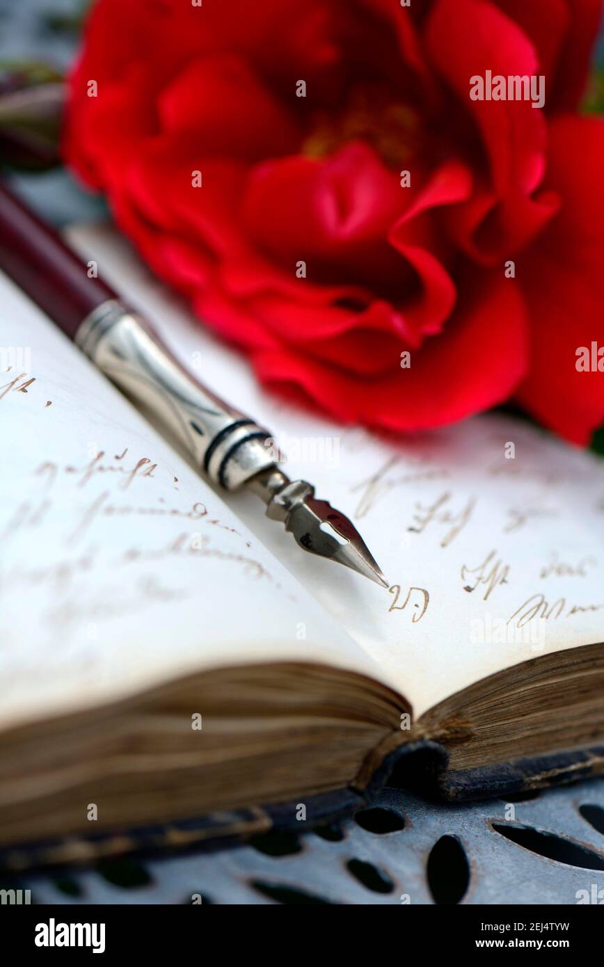 Penholder on book with old writing, red rose, handwriting Stock Photo ...