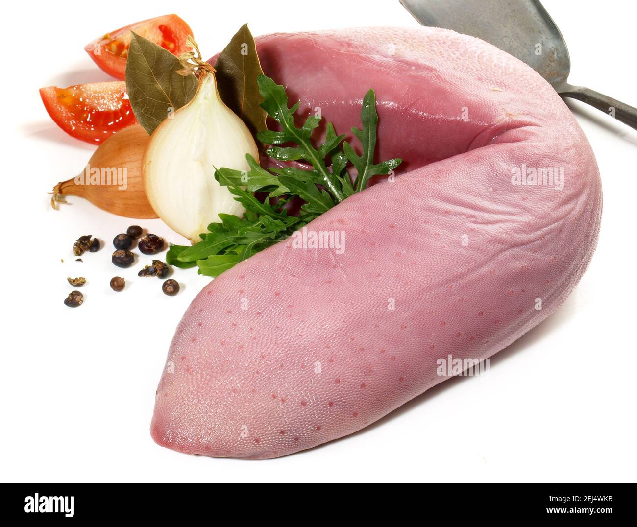 Raw Cured Veal Tongue isolated on white Background Stock Photo Alamy