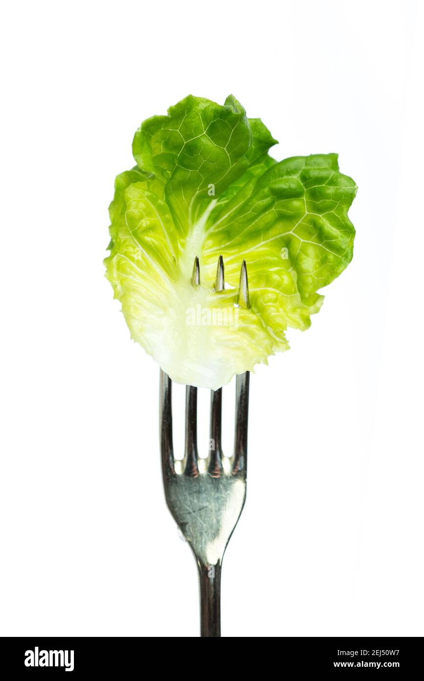 A single lettuce leaf on a silver fork Stock Photo
