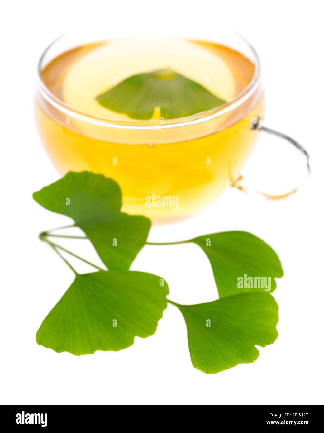 healing plants: Ginkgo (ginko bilboa) tea with leaves Stock Photo