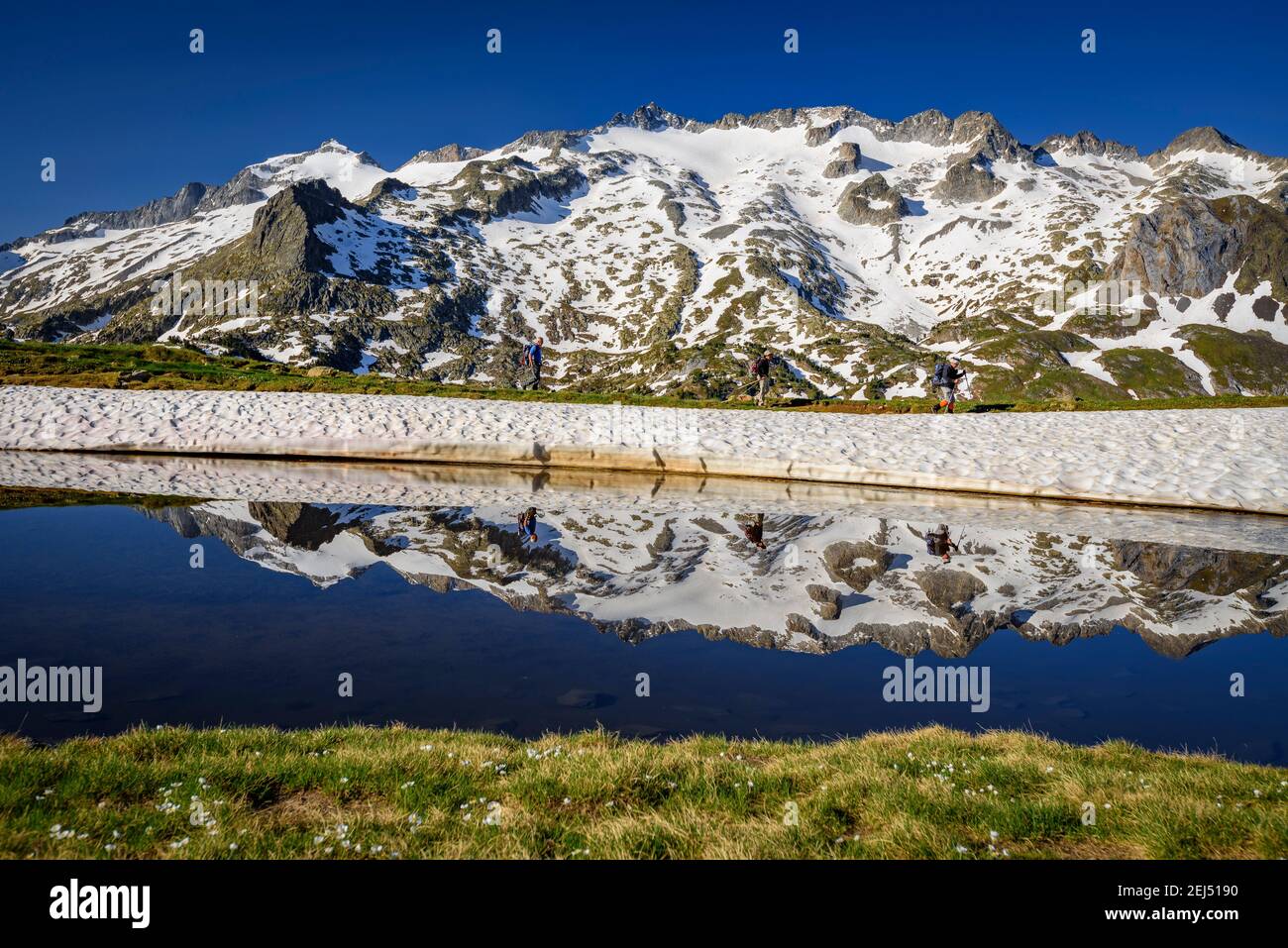 ENG: Maladeta Massif and the Aneto summit, the hightest peak in the Pyrenees, in a summer sunrise, seen from the path to the port of Benasque. (Benasq Stock Photo